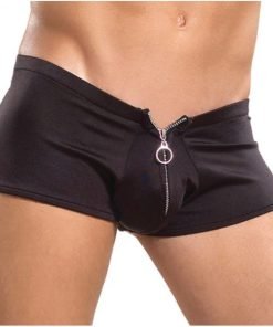 Male Power Zipper Shorts L Xl Underwear