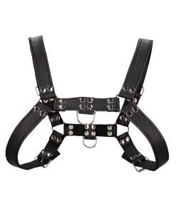 Shots Uomo Chest Bulldog Harness Large Xlarge Black