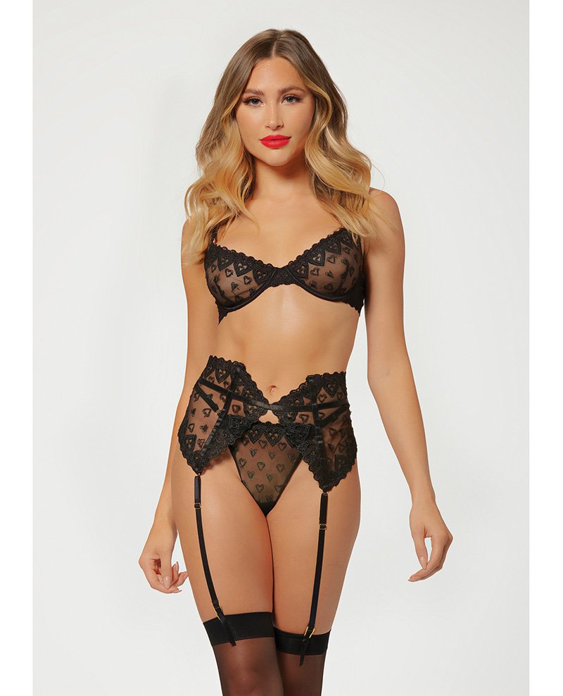 Valentines Heart Embroidered Mesh Bra Waspie Panty Black