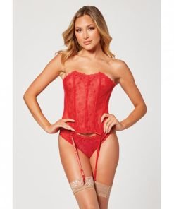 Valentines Heart Embroidered Mesh Bustier Panty Red